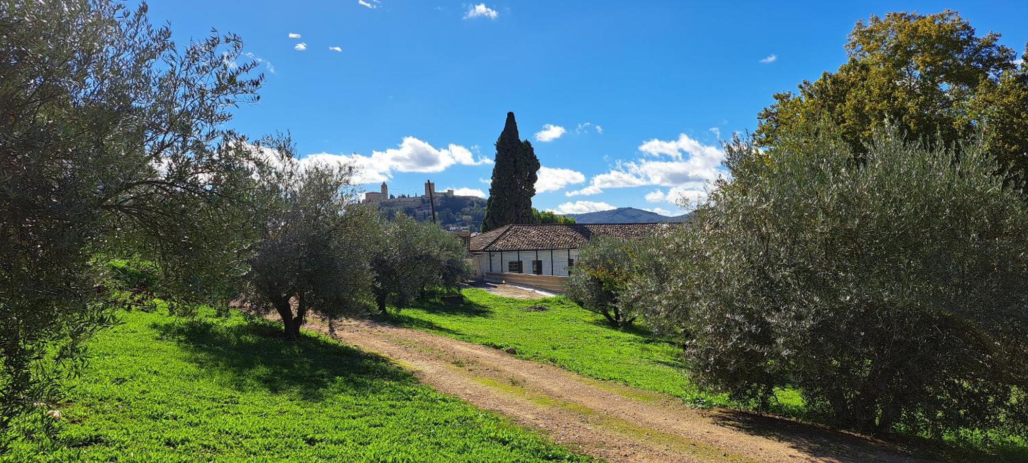 Cauchil Chico Villa Alcala La Real Luaran gambar